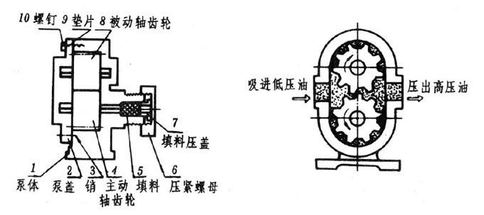 齒輪油泵安裝圖