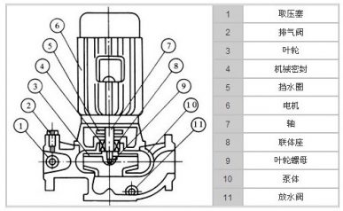 循環(huán)泵結(jié)構(gòu)圖