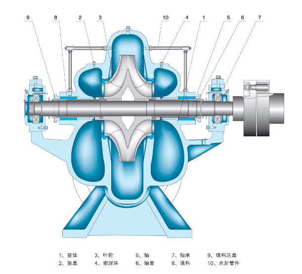 節(jié)能蝸殼式中開(kāi)泵結(jié)構(gòu)圖片