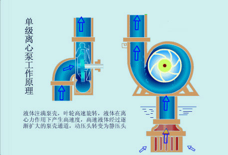 單級(jí)離心泵的工作原理圖片